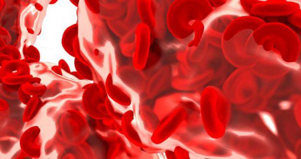 5 nieoczywistych objawów wskazujących na niski poziom hemoglobiny